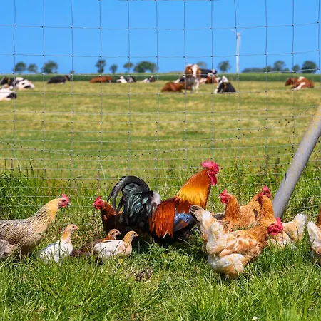 Apartamento Warfthof Becker Werdum