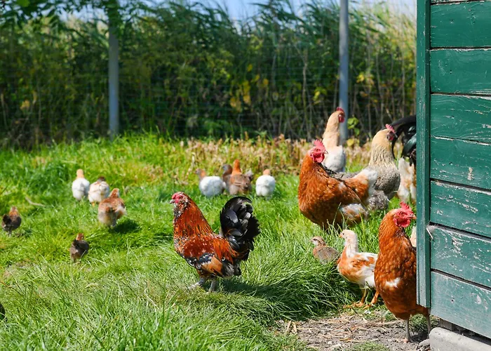 Διαμέρισμα Warfthof Becker *